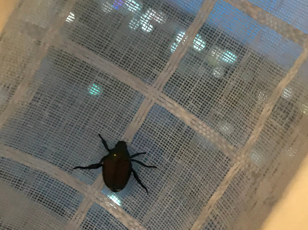 Hilton Garden Inn Independence主图