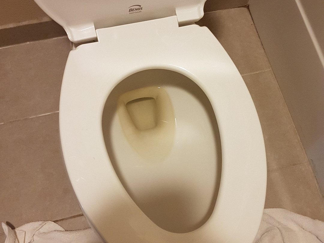 Royal Pines Inn主图