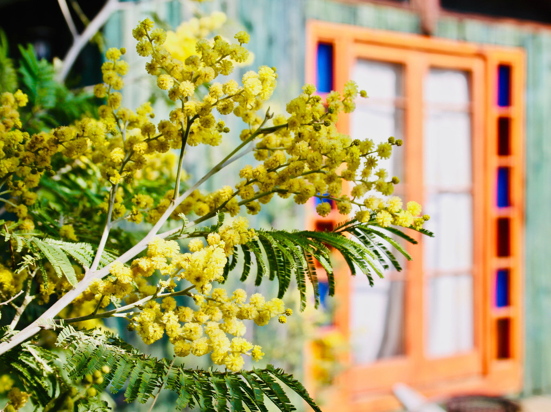 La Magia de Isla Negra Alojamiento Cabanas主图