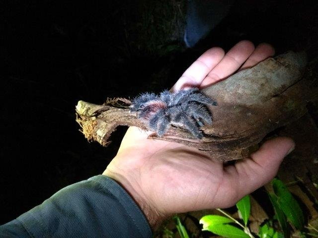 Rio Negro旅游攻略图片