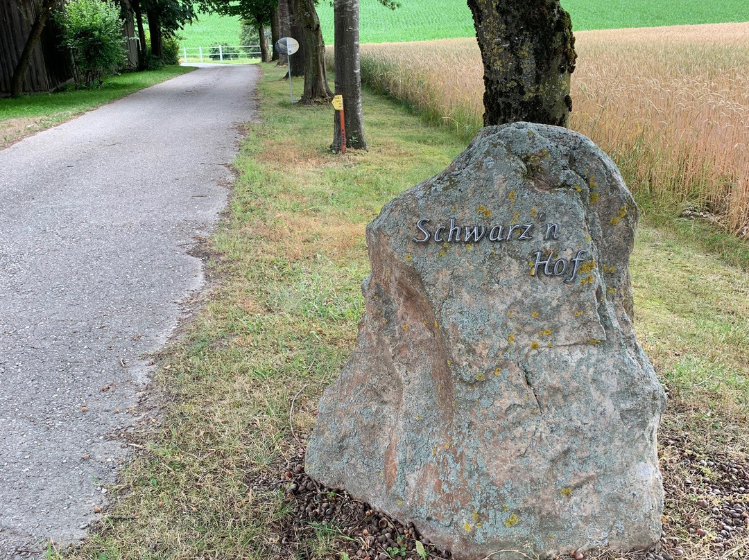 Gut Schwarz-n Hof Ferienwohnungen