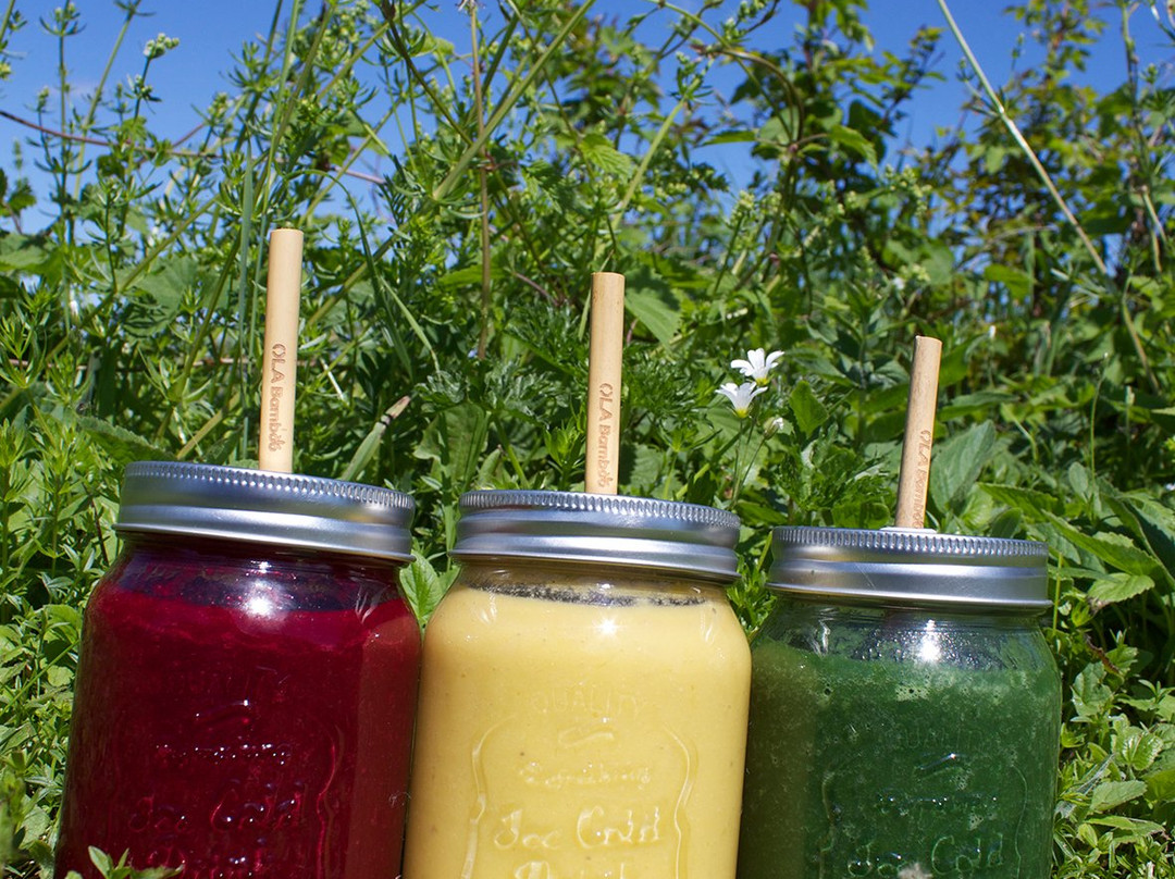 Gîte Chez Rosemarie主图