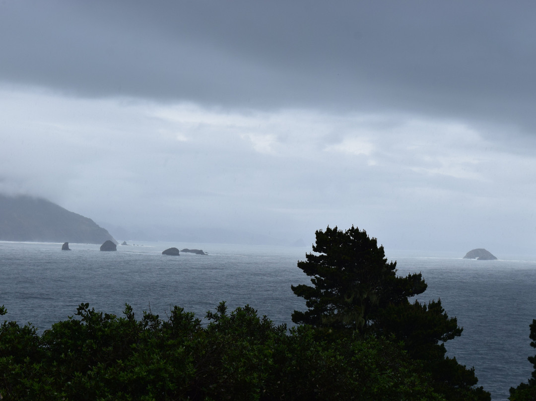 Port Orford Heads State Park-Port Orford必去景点