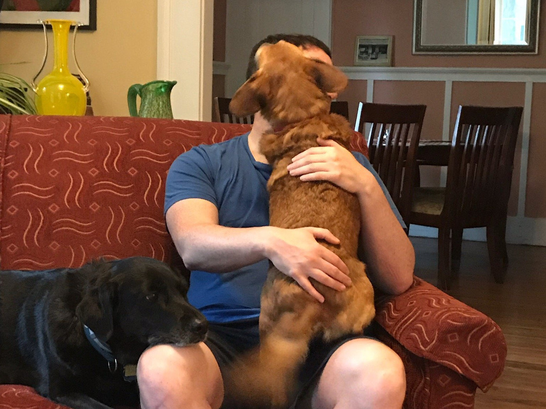 The Blackberry Inn B&B主图