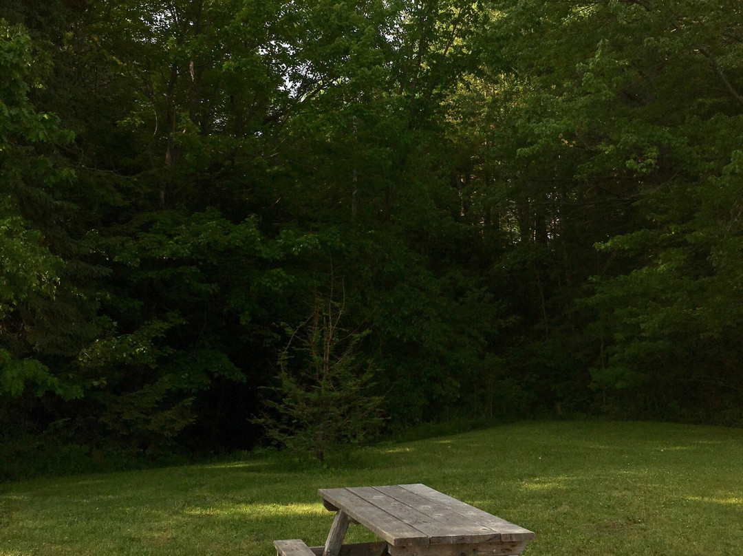 Centennial Park-蒙古顿必去景点