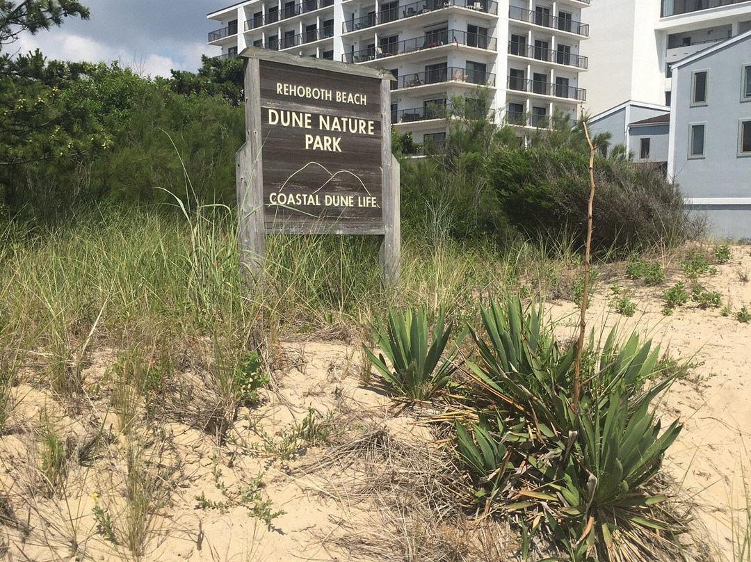 Dune Nature Park-里霍博斯比奇必去景点