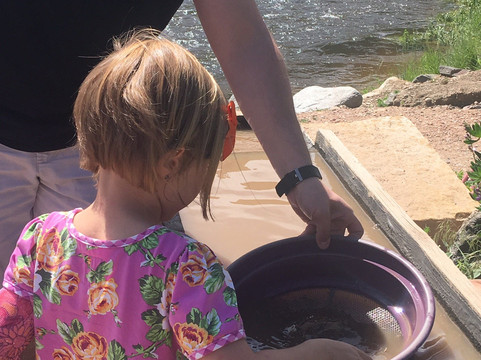 Red Rose Rock Shop & Dick's Rock Museum-埃斯蒂斯公园必去景点