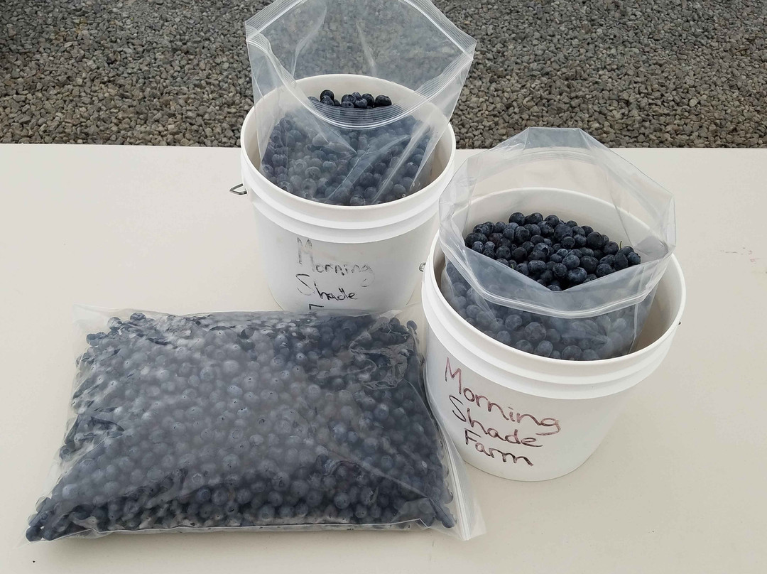 Morning Shade Farm-Canby必去景点