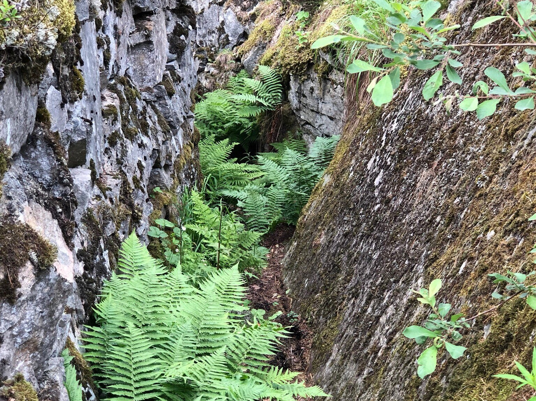 Sjöänd Skans / Fort 118-Arjang必去景点