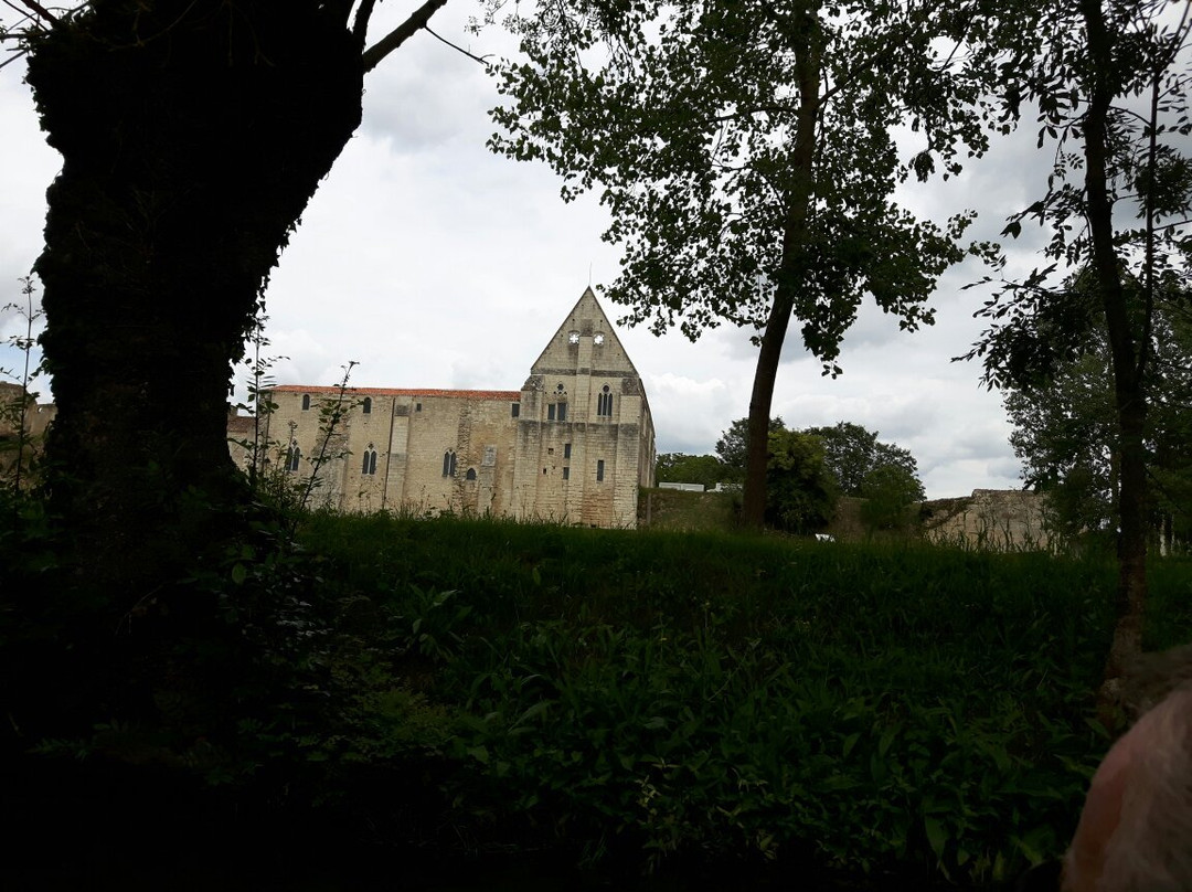 Le Marais Poitevin景点图片