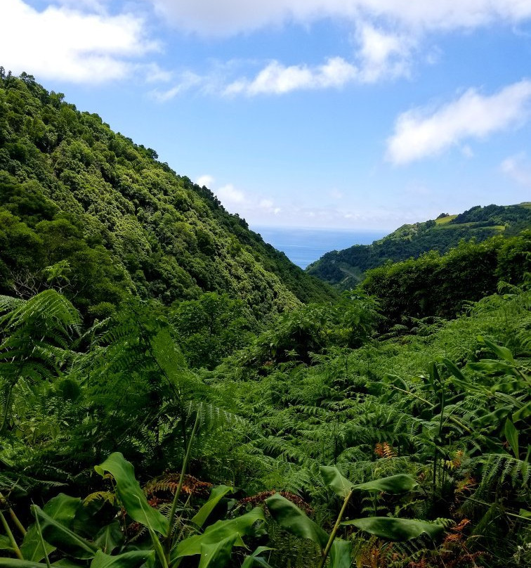 Greenzone Azores Tours景点图片