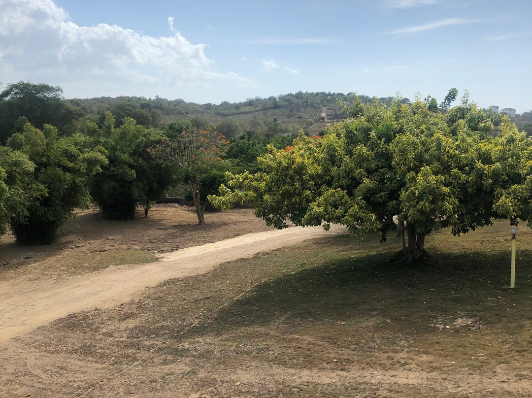 Villa Alfonsina主图