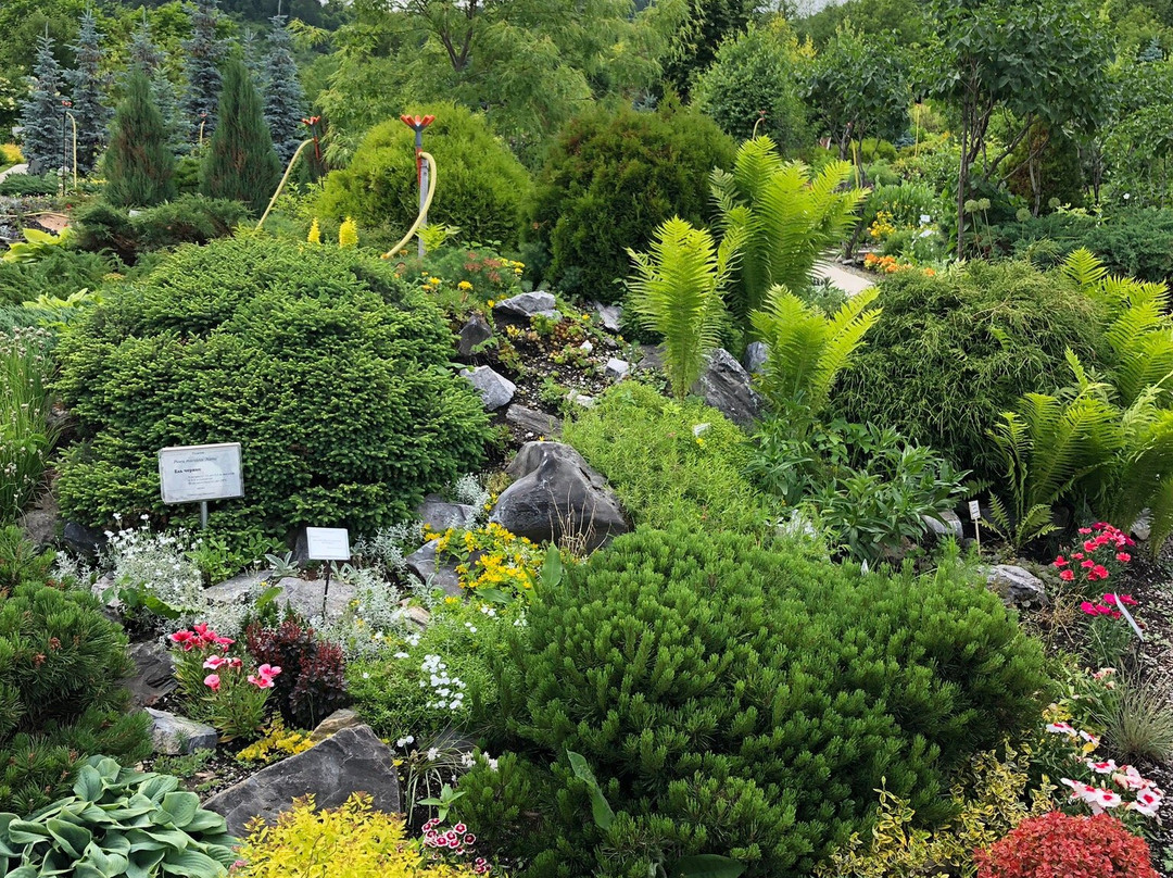 Blooming Valley Arboretum-Altaiskoye必去景点