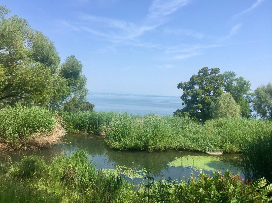 Les Jardins de L'eau du Pre Curieux景点图片