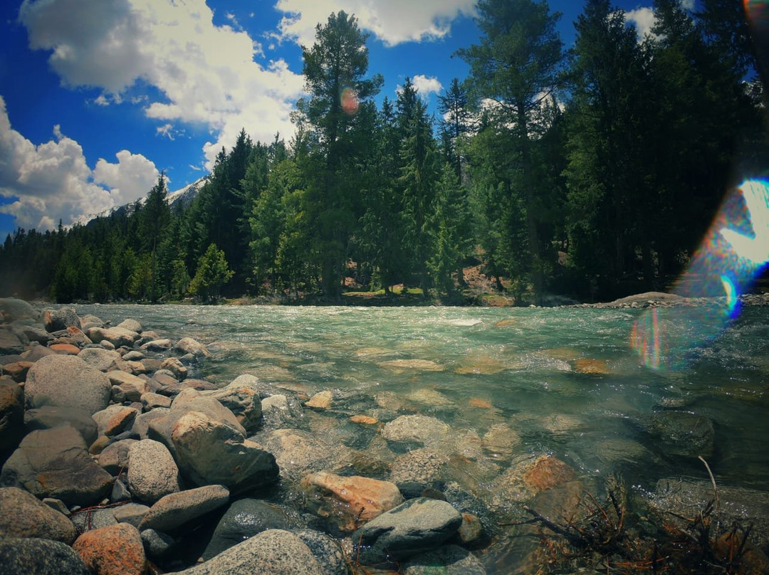 Mehmaan Resort主图