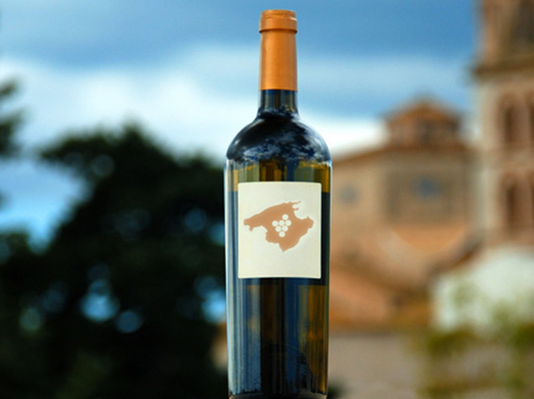 卡斯费雷尔诺酒店主图