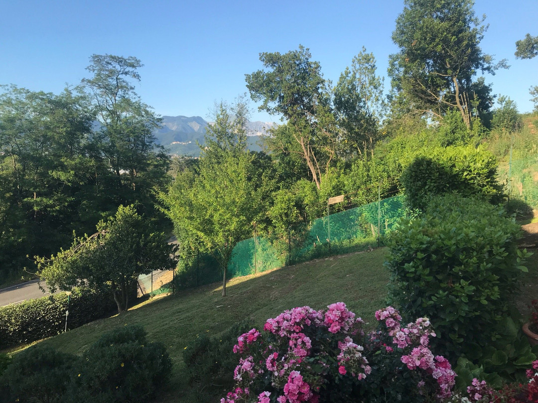 Villa Porto sul Magra主图