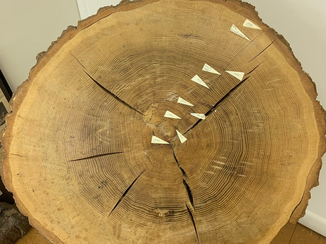 McCreary County Museum景点图片
