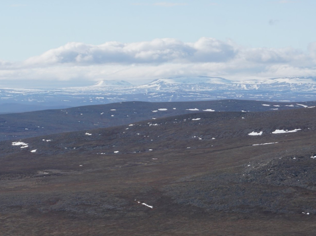 Kevo Strict Nature Reserve-Utsjoki必去景点