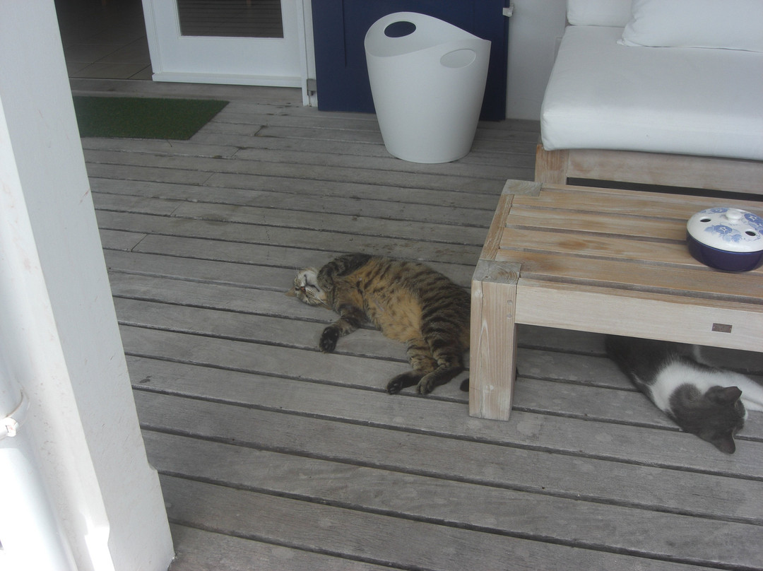 Les Ilets de la Plage主图