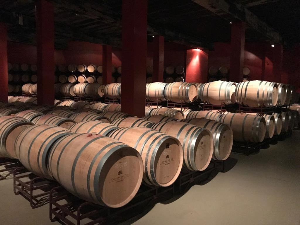Bodega Costers del Sio景点图片