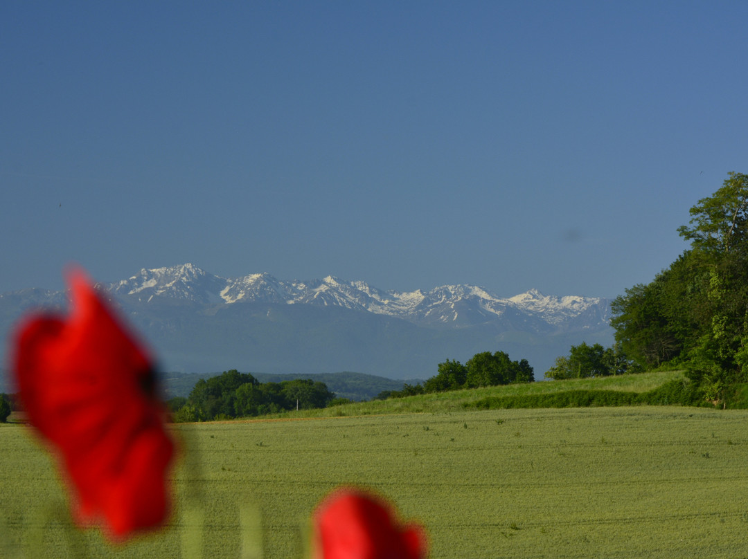 Maison Vue Pyrénées主图