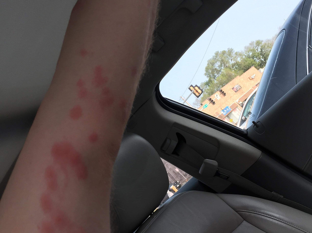 Baymont By Wyndham Bellevue/omaha主图