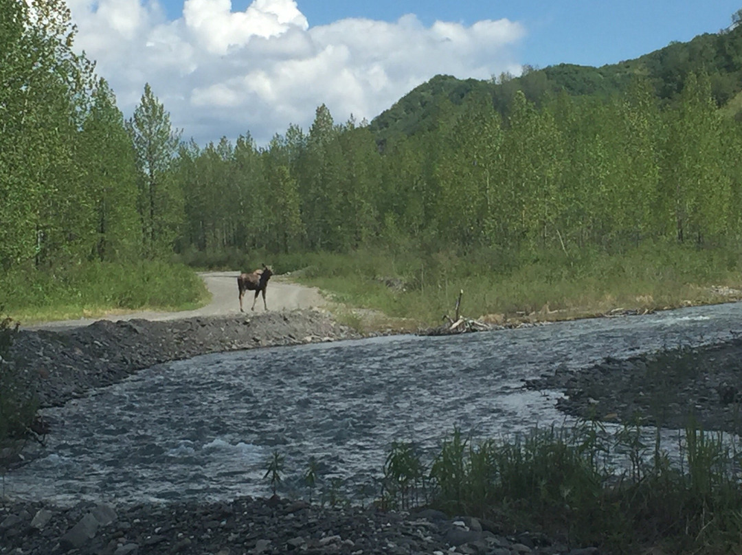 Talkeetna 4x4 Adventures-塔尔基特纳必去景点