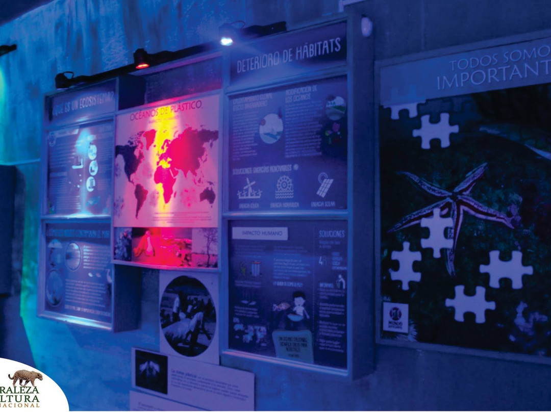 Acuario Mundo Hippocampus-Organos必去景点