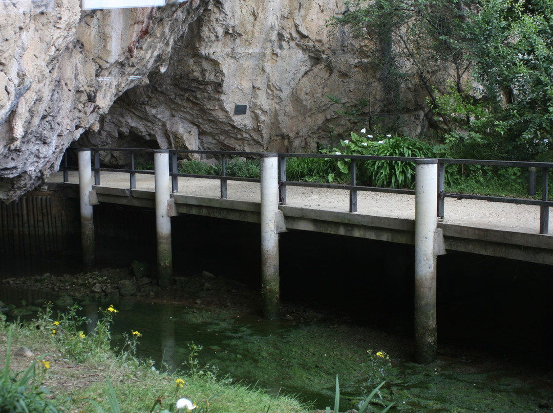 Cueva de Tito Bustillo景点图片