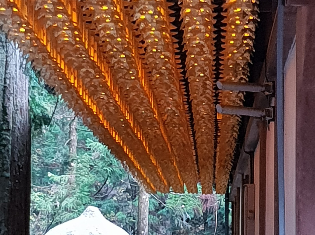 Torodo Temple-高野町必去景点