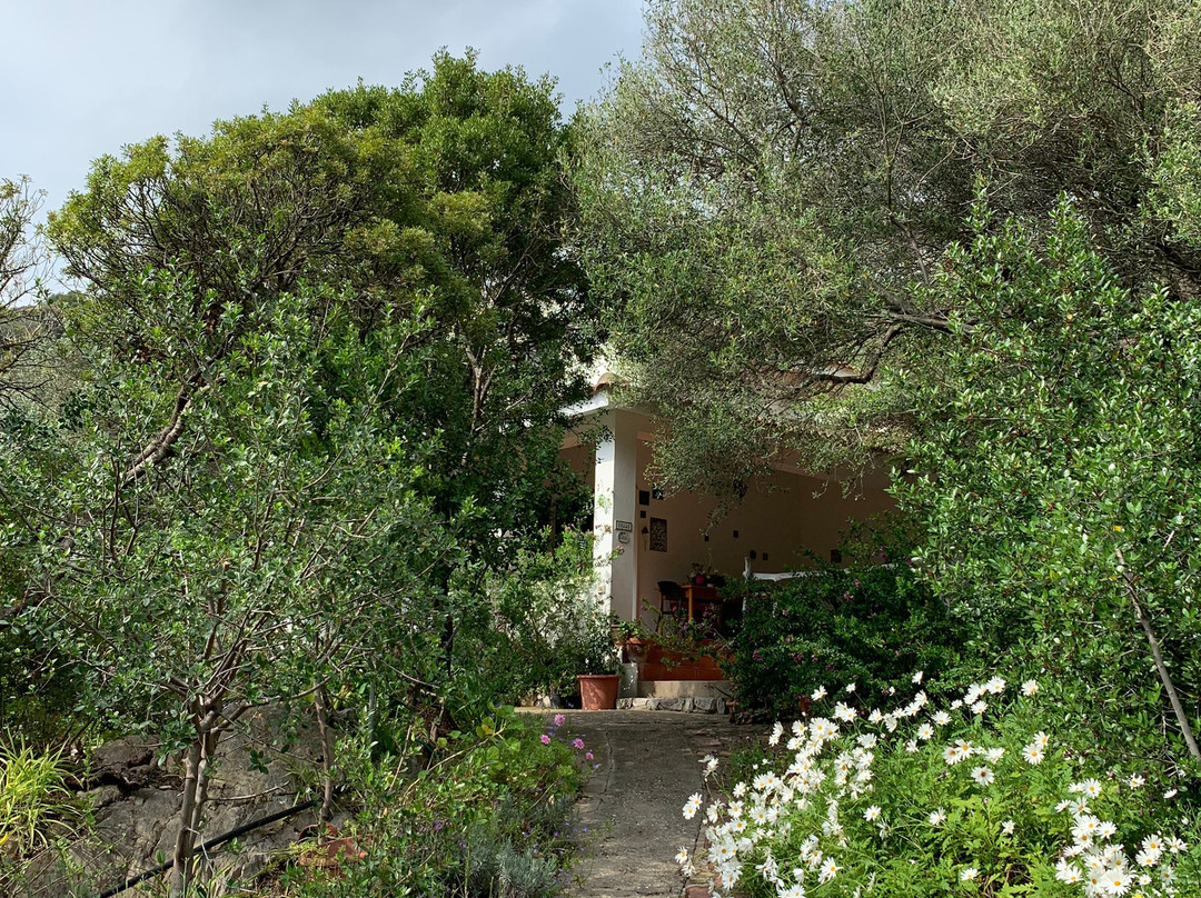 S'Archiotta B&B主图