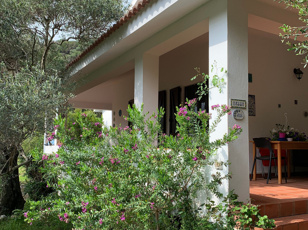 S'Archiotta B&B主图