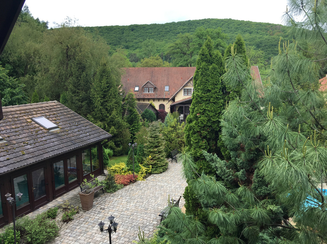 Aranygombos Fogado主图