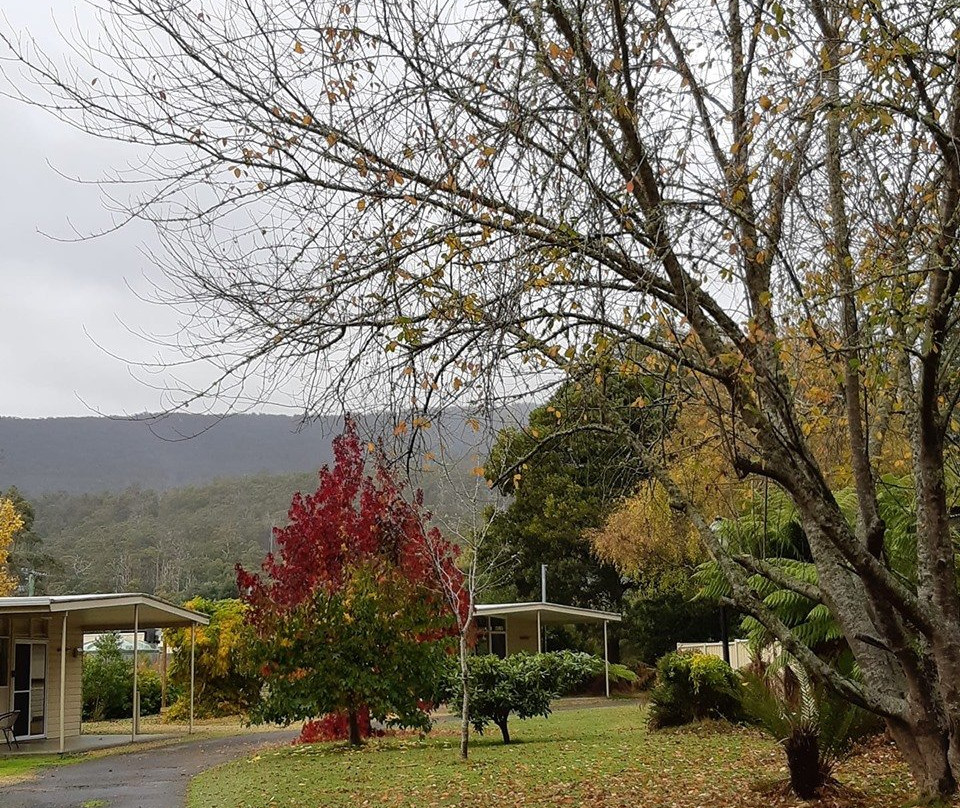 Russell Falls Holiday Cottages
