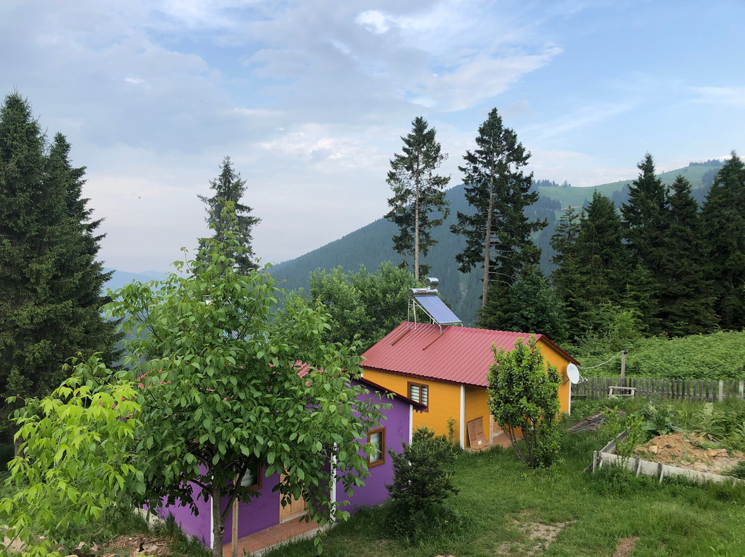 Pilavdagi Tatil Koyu主图