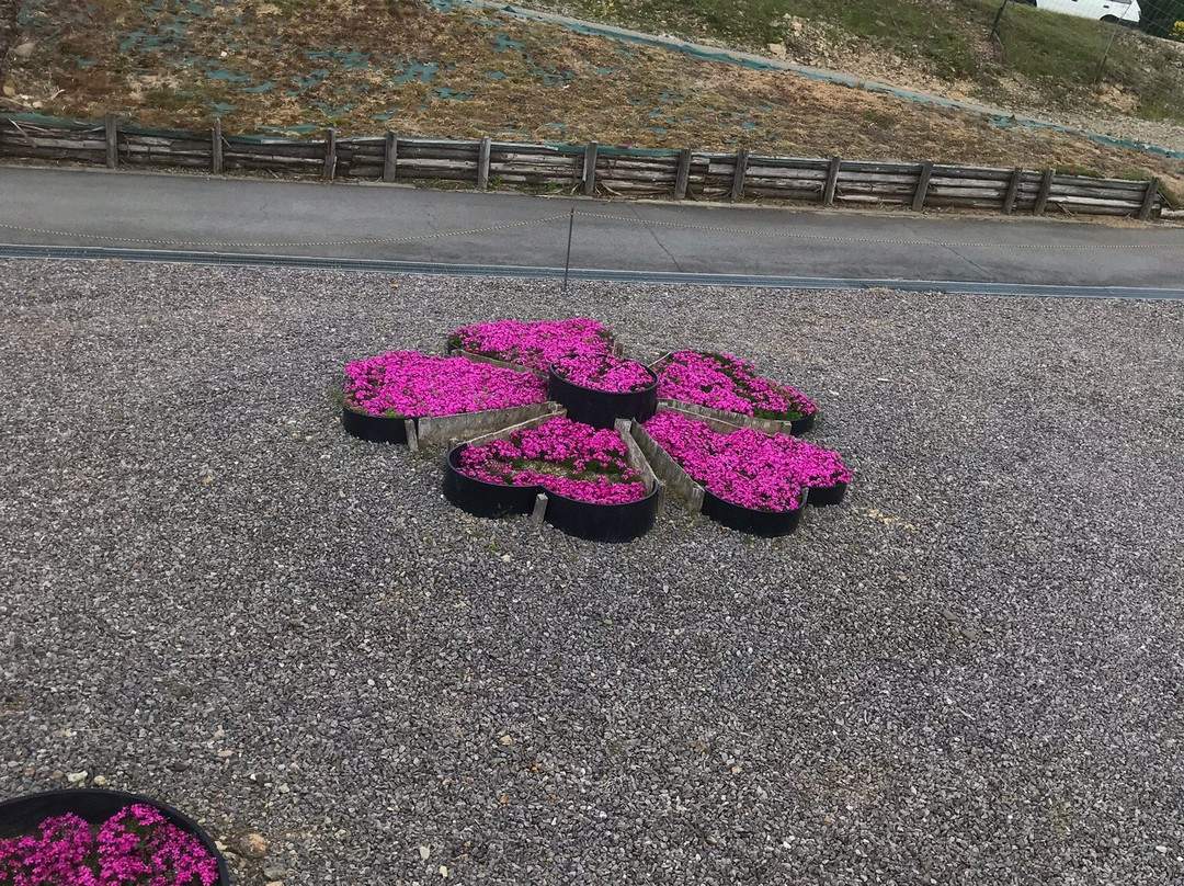 Chausuyama-丰根村必去景点