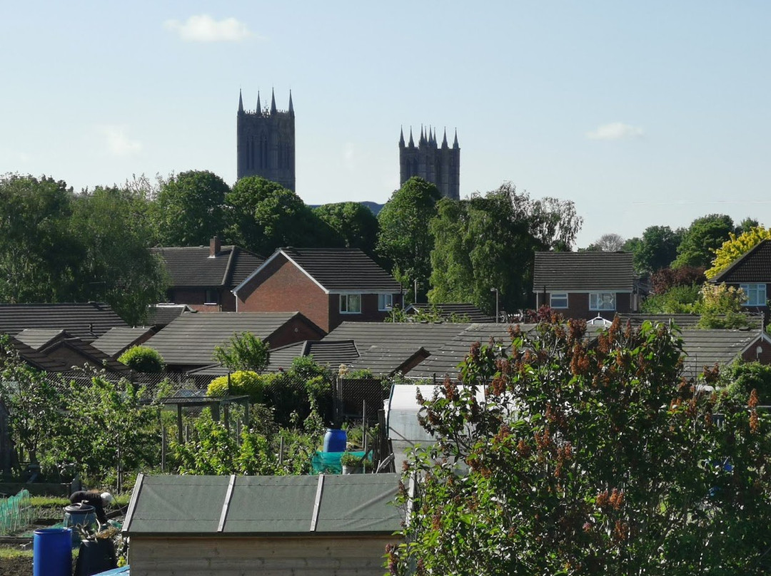 The Allotment House主图