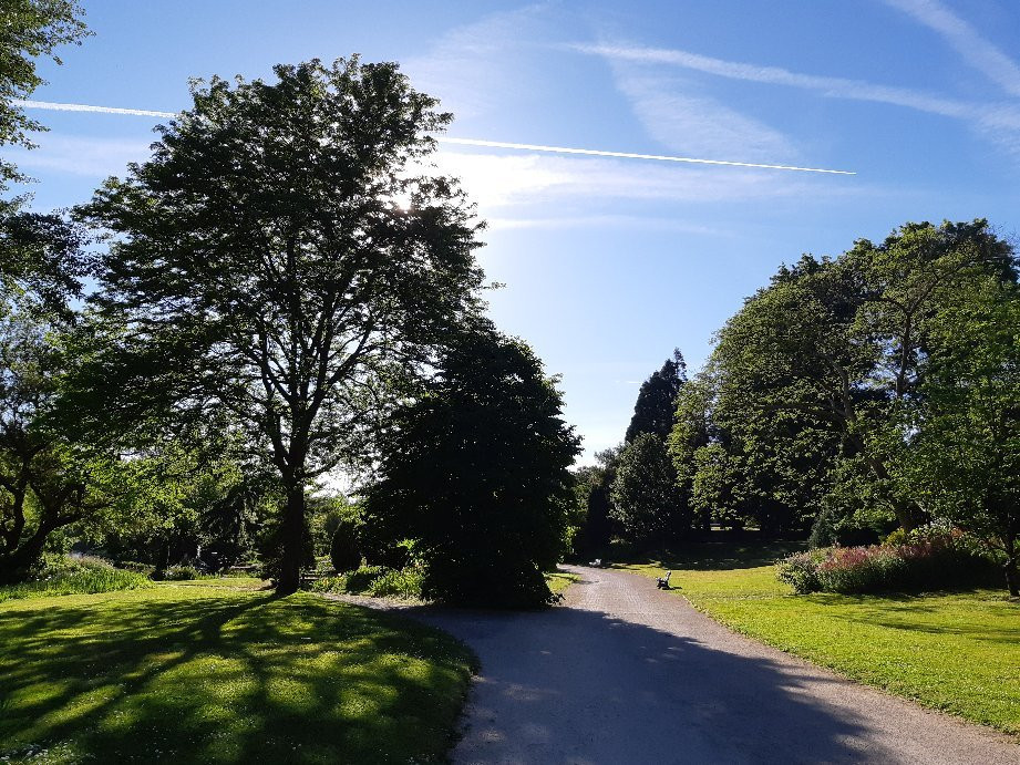 Parc de la Beaujoire景点图片
