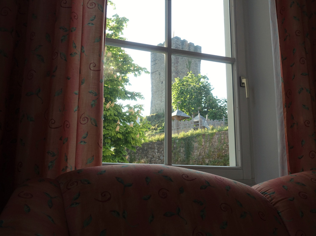 Hotel Schloss Hornberg主图