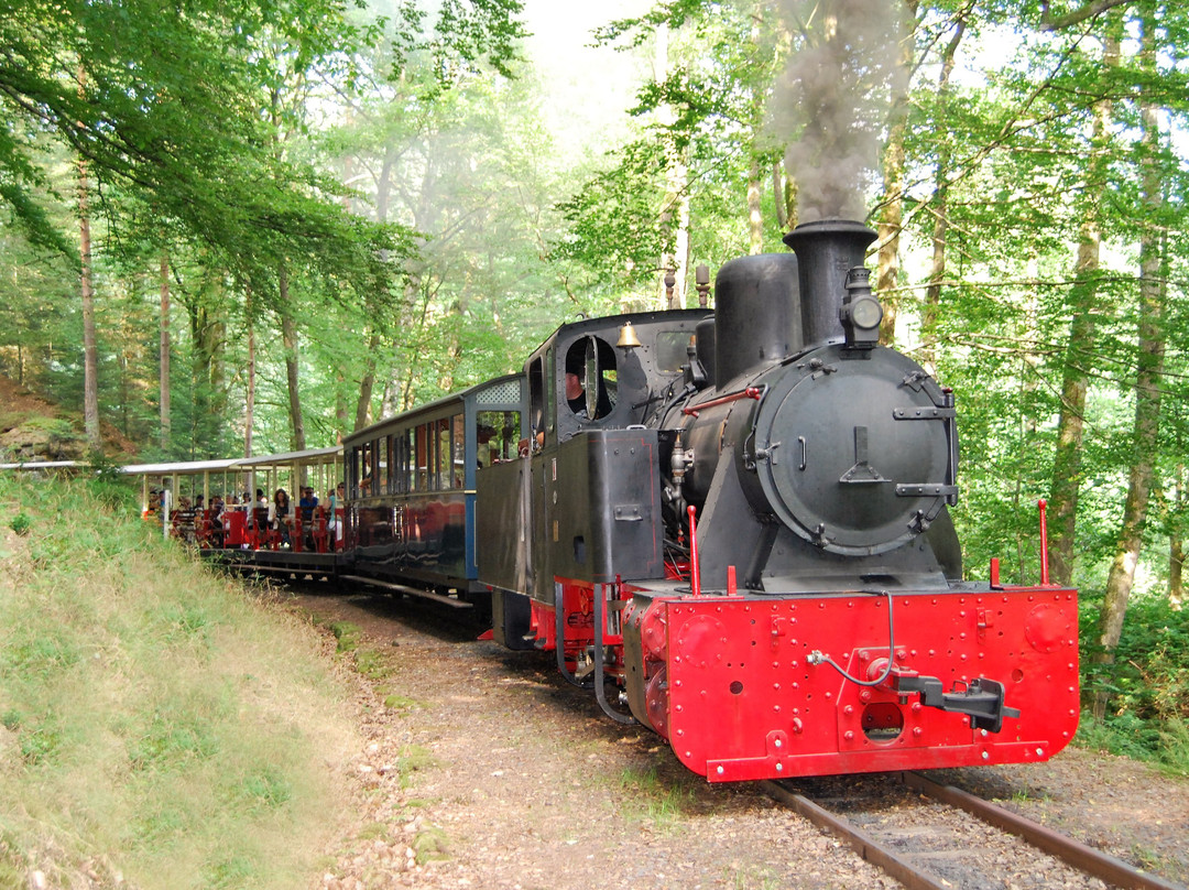 Train Forestier d'Abreschviller景点图片