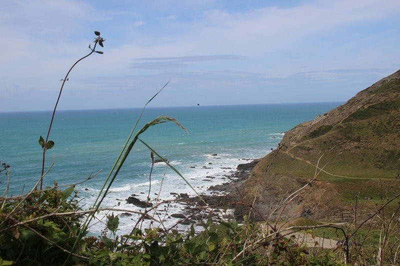 Mouthmill Beach-Clovelly必去景点