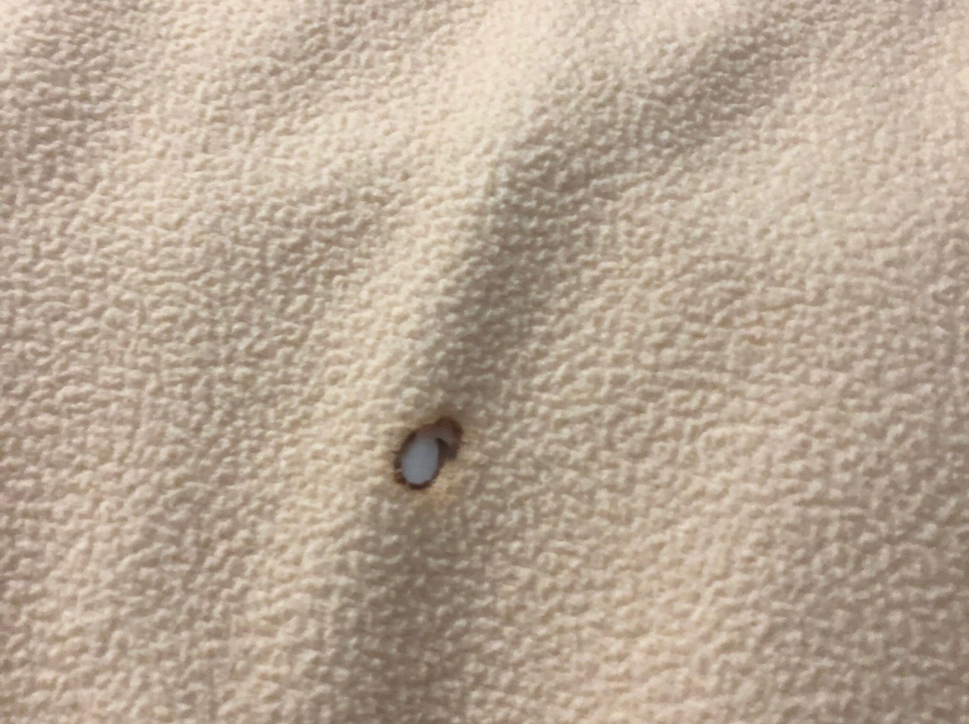 Days Inn & Suites by Wyndham Casey主图