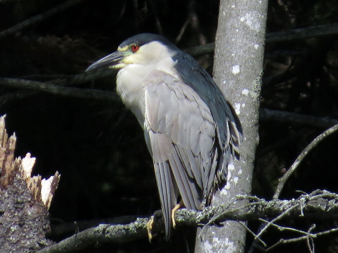 Fowler Beach-Long Island必去景点