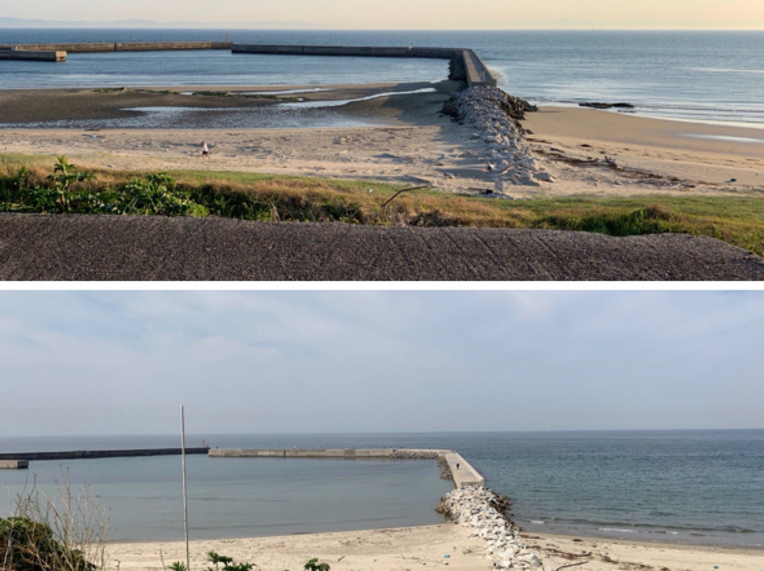 The Beach Kurotake主图