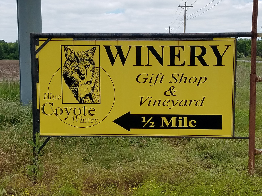 Blue Coyote Winery-Adair必去景点