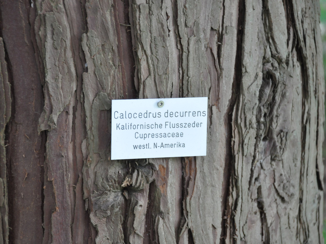 Botanischer Garten der Universität Osnabrück-奥斯纳布吕克必去景点