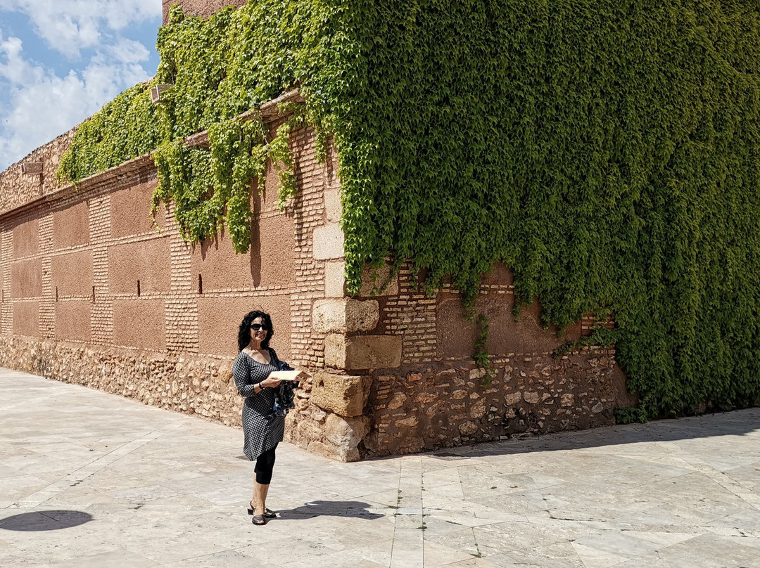 Castillo De Manzanares景点图片