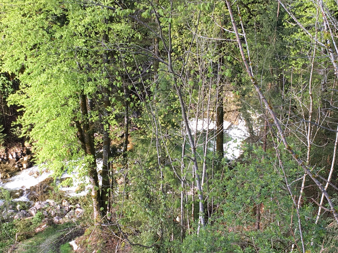 Feuriger Tatzlwurm Berghotel & Spa, BW Signature Collection by Best Western主图