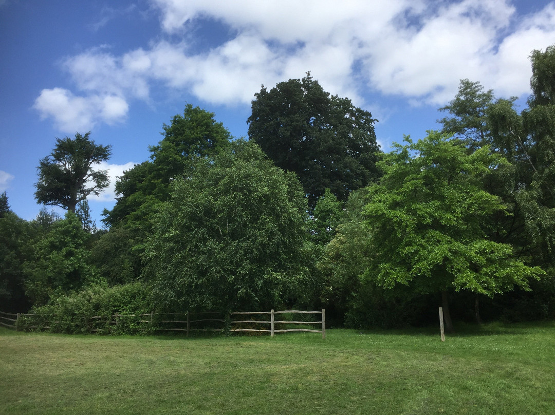 Fishponds Park景点图片